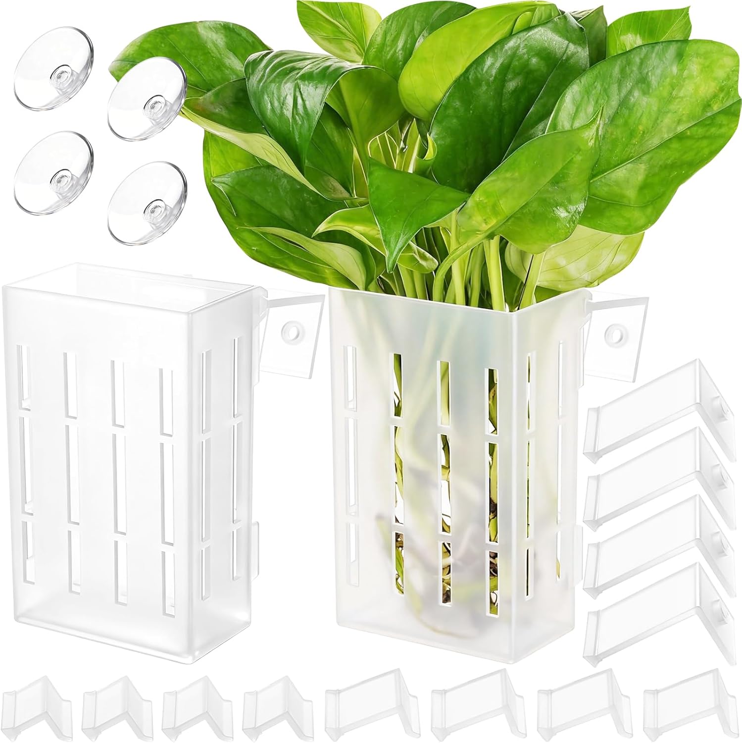 Planted Aquarium Aquascape - Large Aquarium Plant Holder with Hooks