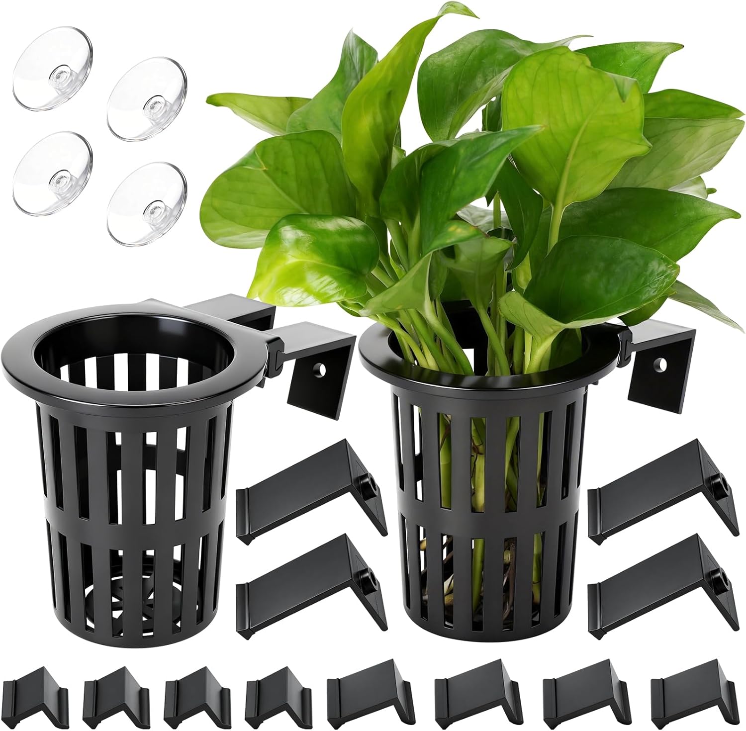 Planted Aquarium Aquascape - 2025 Upgraded Large Aquarium Plant Holder