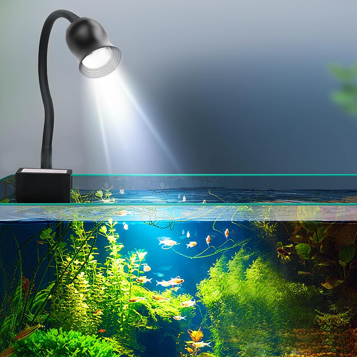Aquarium Plant Growing - Aquarium Led Light Fish Tank Decoration