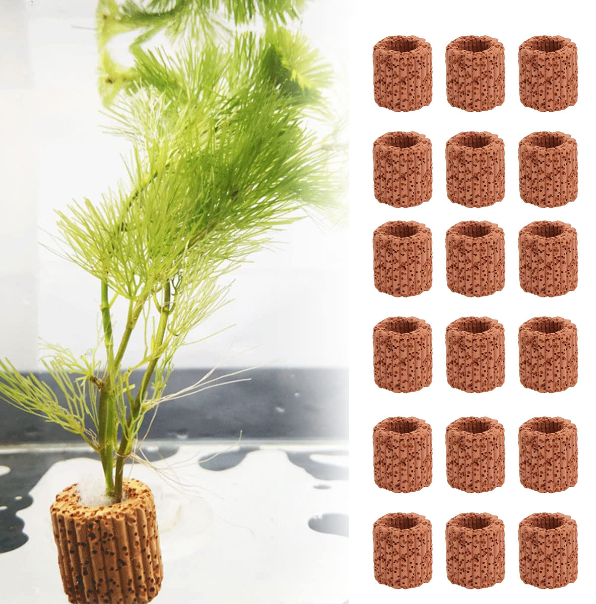Aquarium Plant Design - 10/20Pcs Aquatic Water Plant Fixed Ring
