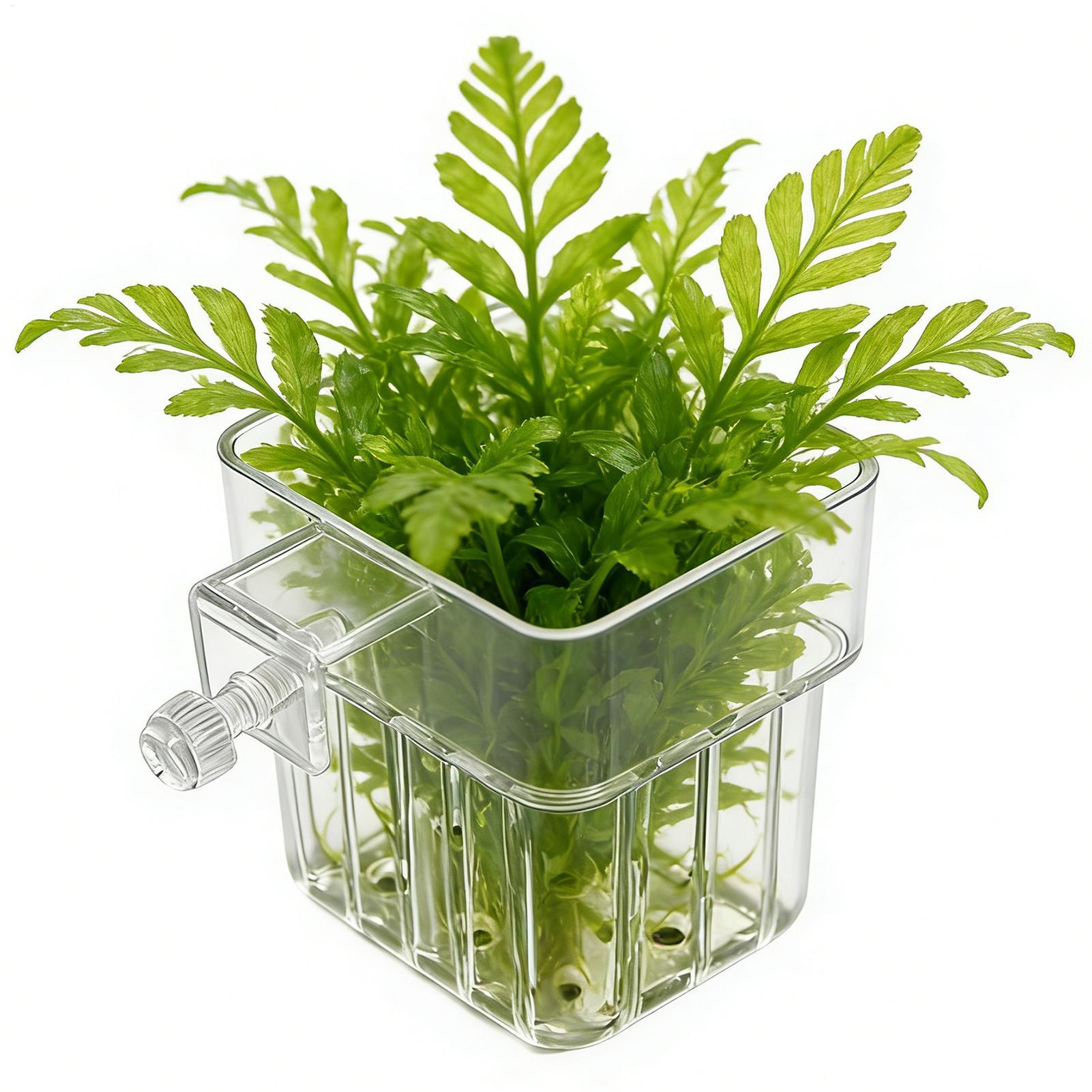 Aquarium Plant Design - Transparent Hangable Pot Aquarium Plant Holder