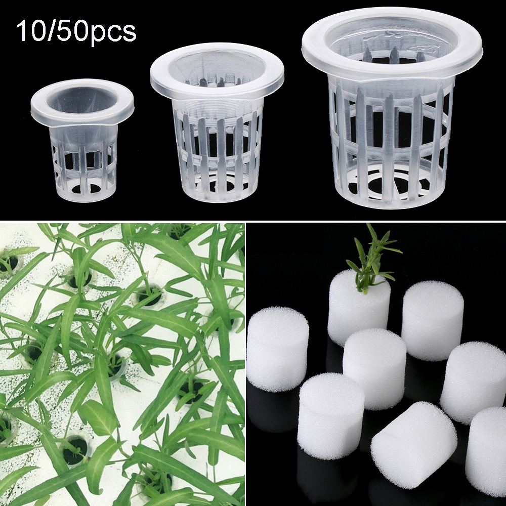 Aquarium Plant Seeds - 10/50pcs Garden Supplies Planting Aquarium Cultivation