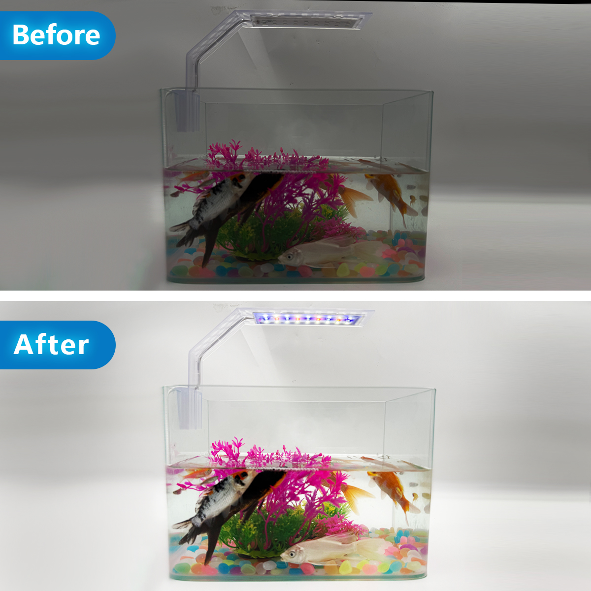 Super Slim LED Aquarium Light  - Aquarium Plant Growing 评论和价格