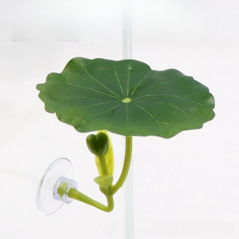 Lotus leaf Betta Fish Hammock  - Planted Aquarium Aquascape 评论和价格