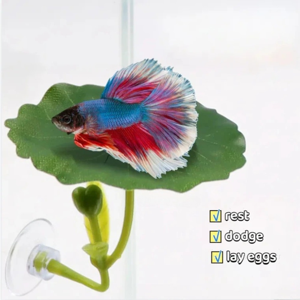 Lotus leaf Betta Fish Hammock  - Planted Aquarium Aquascape 评论和价格