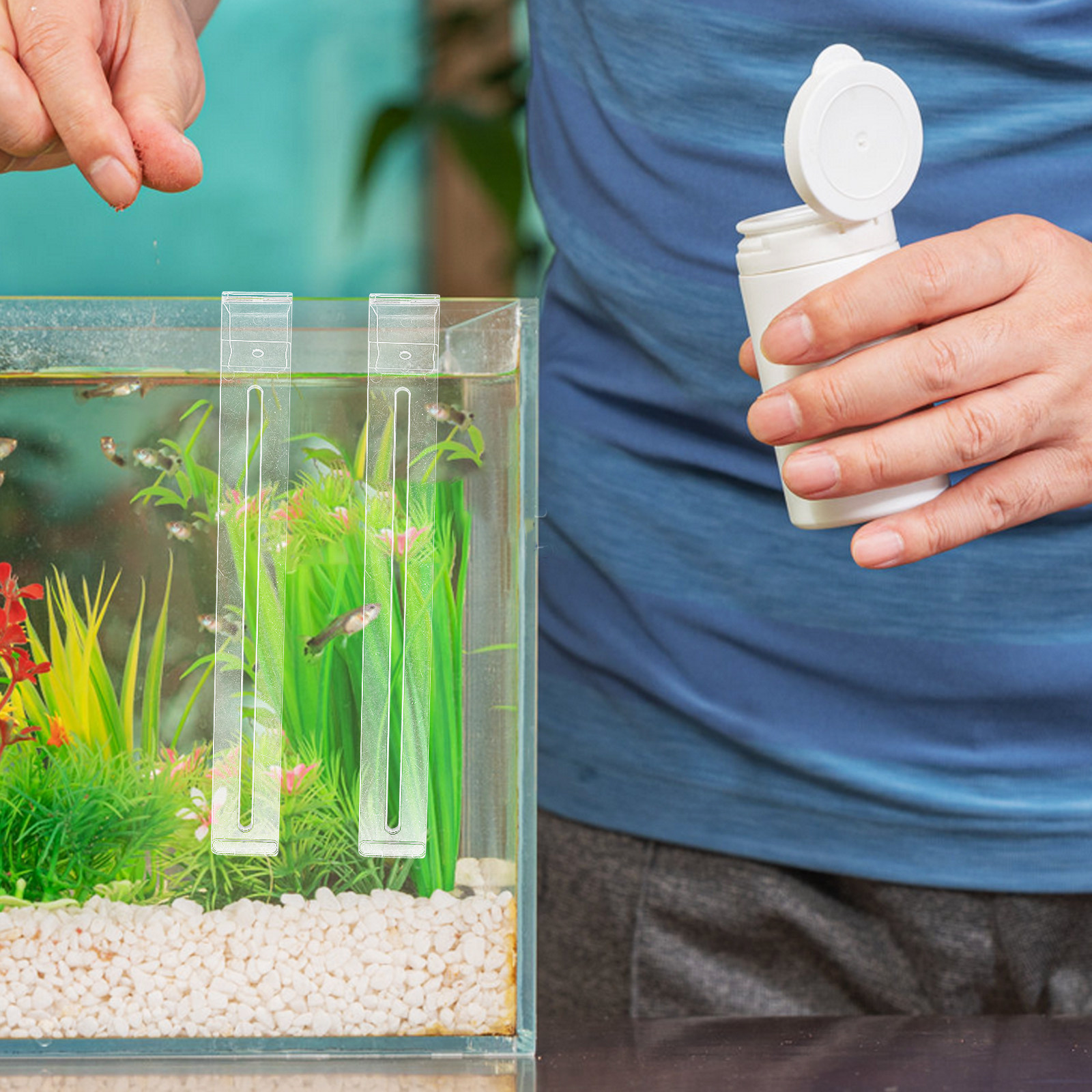 2Pcs Lightweight Sturdy Plasti - Aquarium Planted Tank Setup 评论和价格
