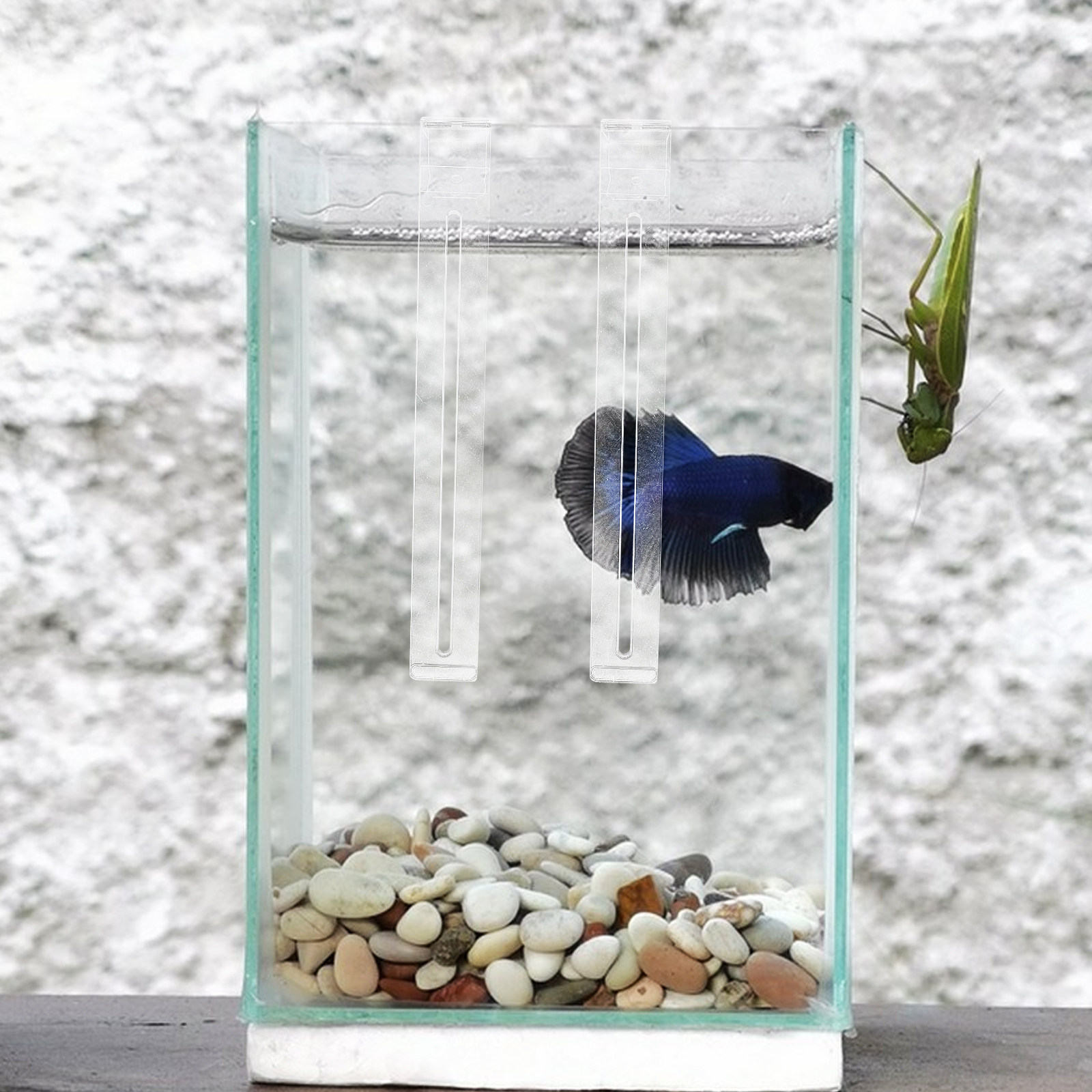 2Pcs Lightweight Sturdy Plasti - Aquarium Planted Tank Setup 评论和价格