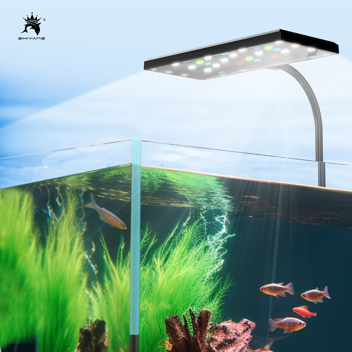 110-240V Aquarium Fish Tank Ba - Aquarium Plant Seeds 评论和价格