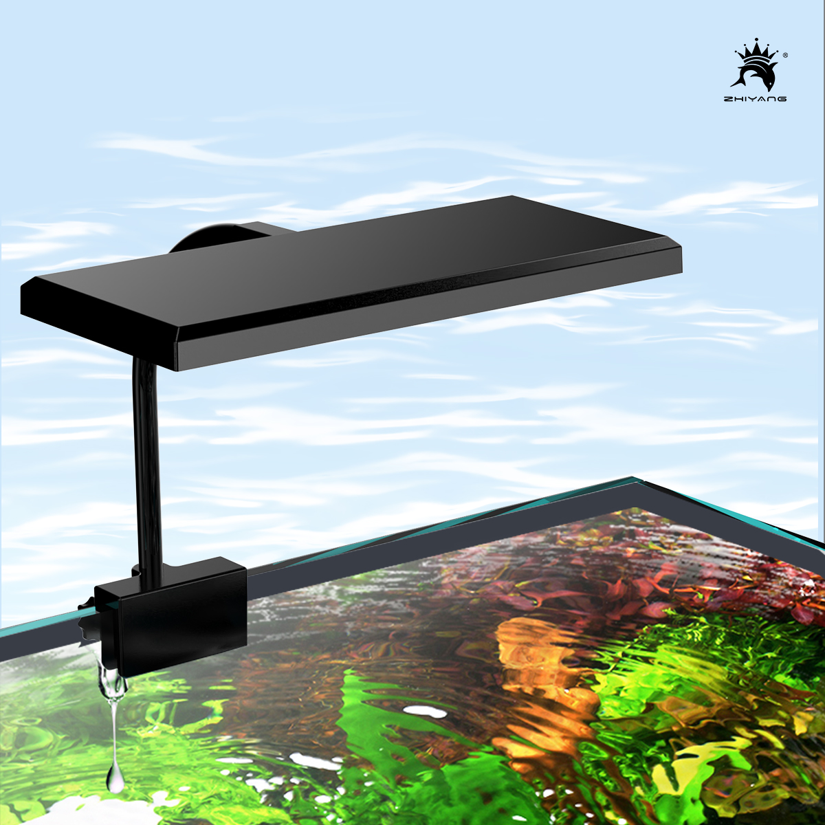 110-240V Aquarium Fish Tank Ba - Aquarium Plant Seeds 评论和价格