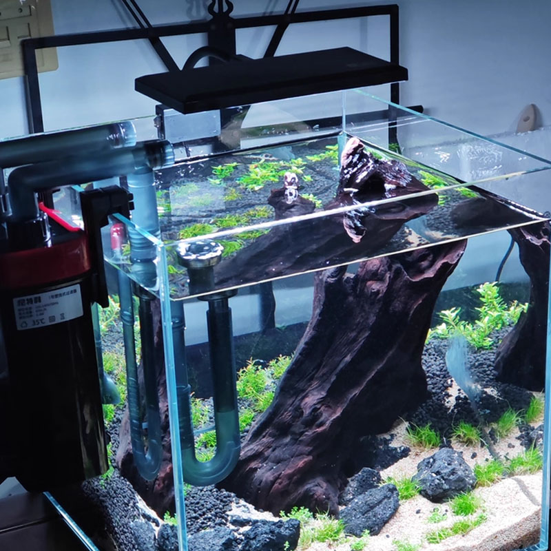 Aquarium Fish Tank Full Spectr - Planted Aquarium Cycling 评论和价格