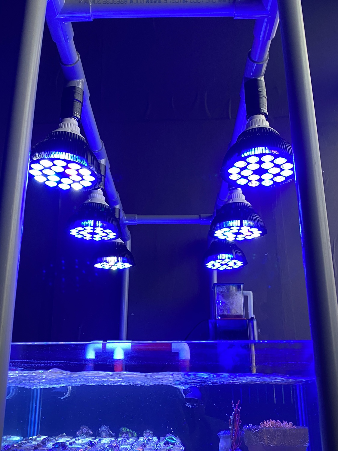 Full specturm LED Aquarium Ree - Aquarium Plant Ornament 评论和价格