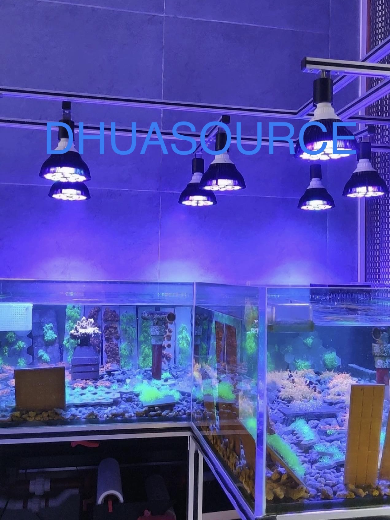 Full specturm LED Aquarium Ree - Aquarium Plant Ornament 评论和价格