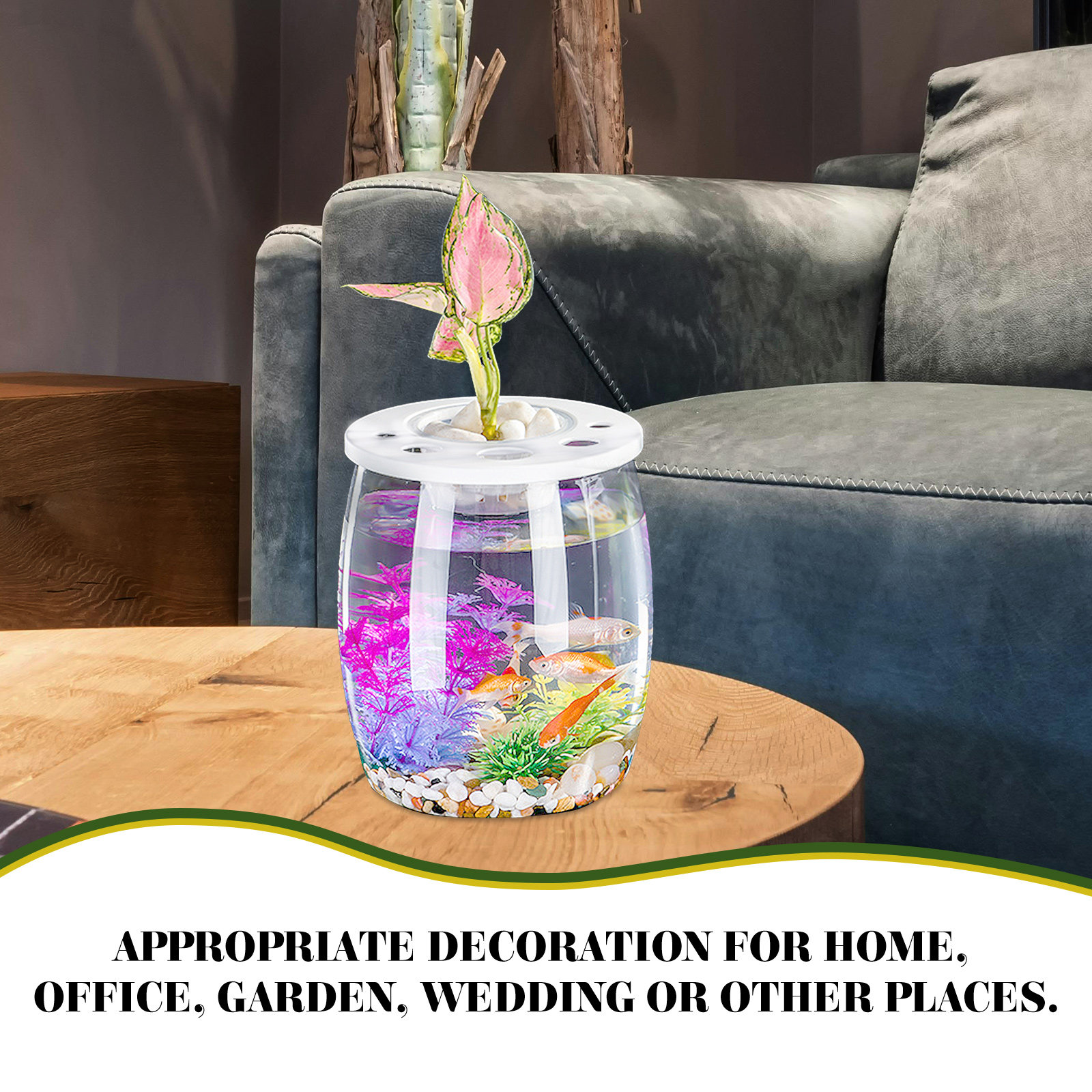 Small Transparent Hydroponic F - Aquarium Planted Tank Setup 评论和价格