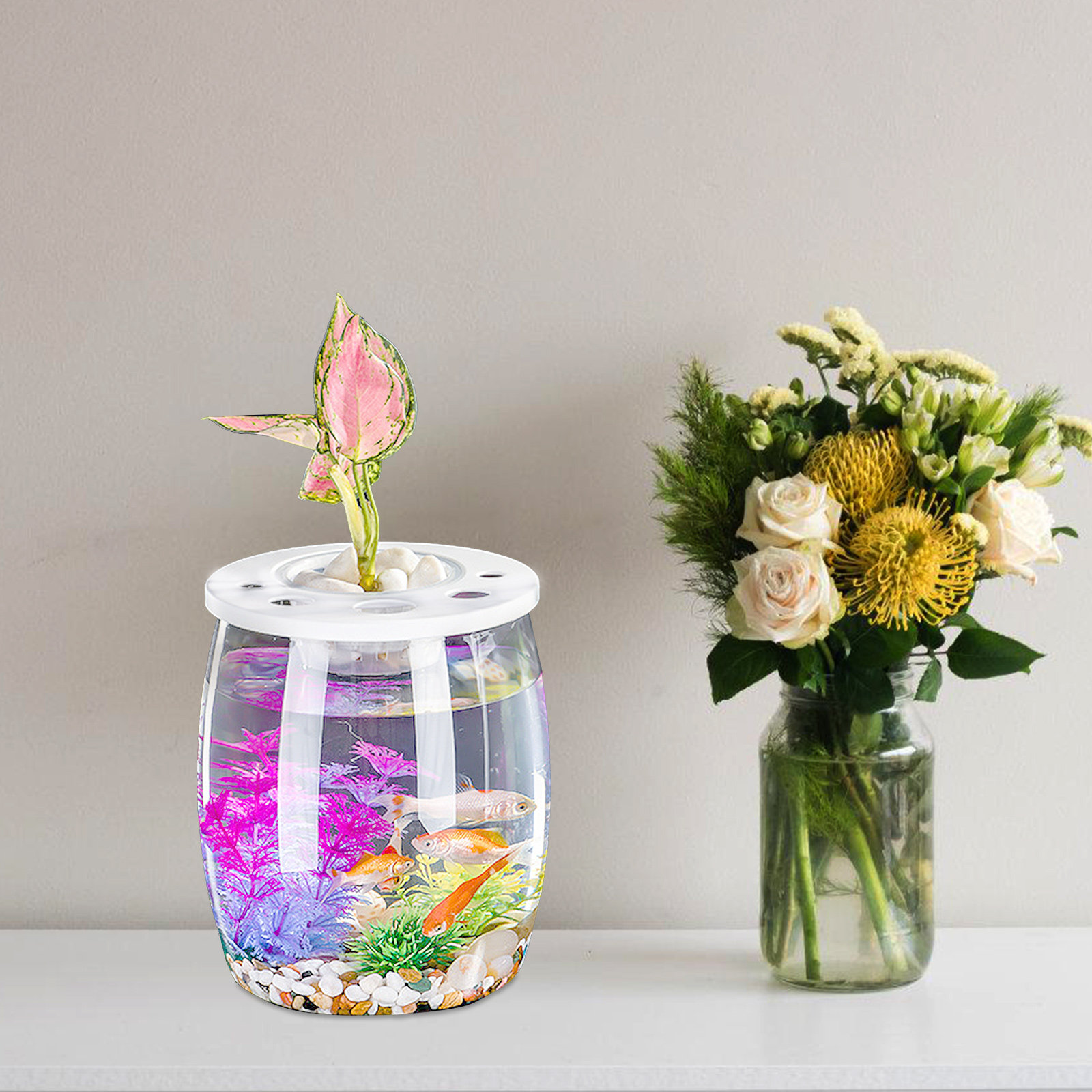 Small Transparent Hydroponic F - Aquarium Planted Tank Setup 评论和价格