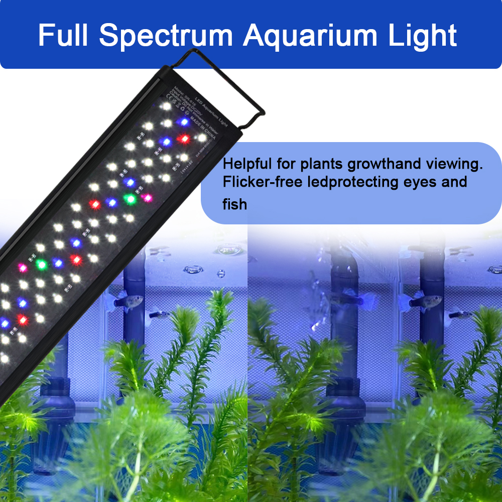 12-30 inch fish tank full spec - Aquarium Plant Growth 评论和价格