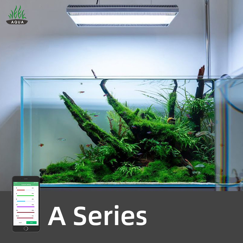 WEEK AQUA A430Pro LED Aquarium - Planted Aquarium Aquascape 评论和价格