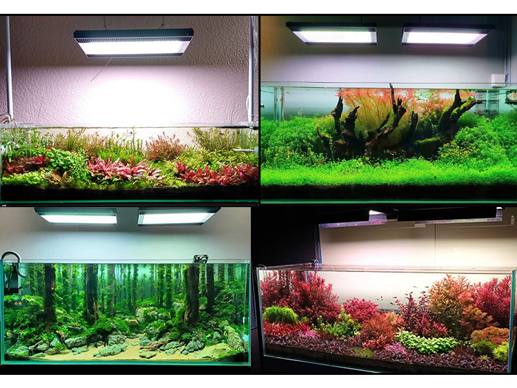 WEEK AQUA A430Pro LED Aquarium - Planted Aquarium Aquascape 评论和价格