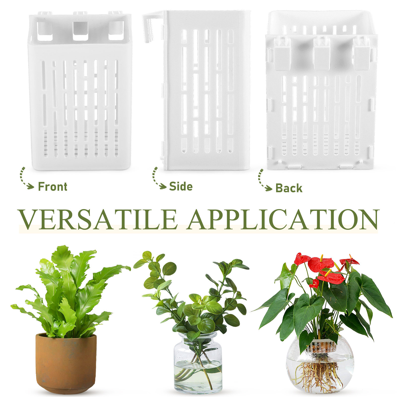 2Pcs Aquatic Plant Holder Hang - Aquarium Planted Tank Setup 评论和价格