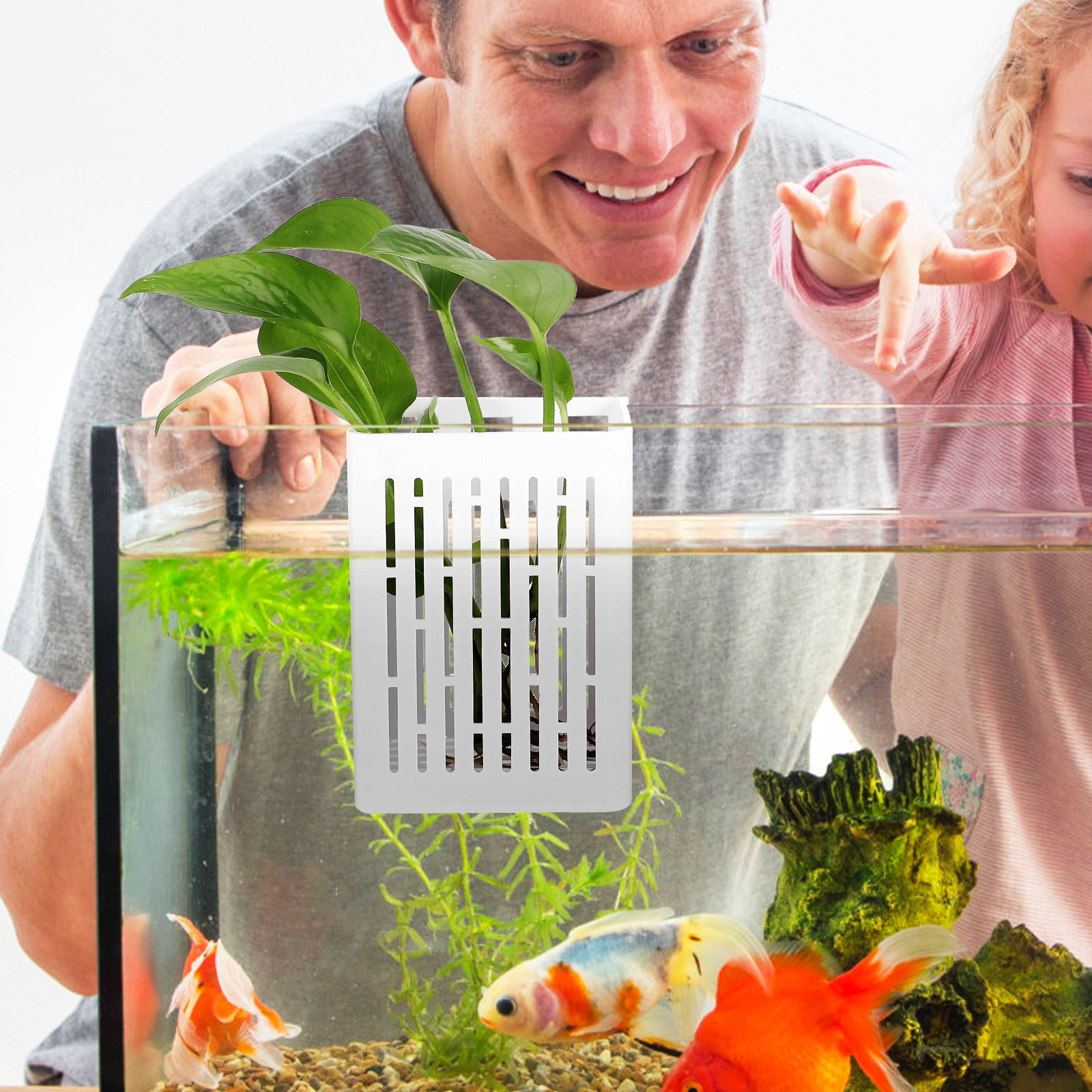 2Pcs Aquatic Plant Holder Hang - Aquarium Planted Tank Setup 评论和价格