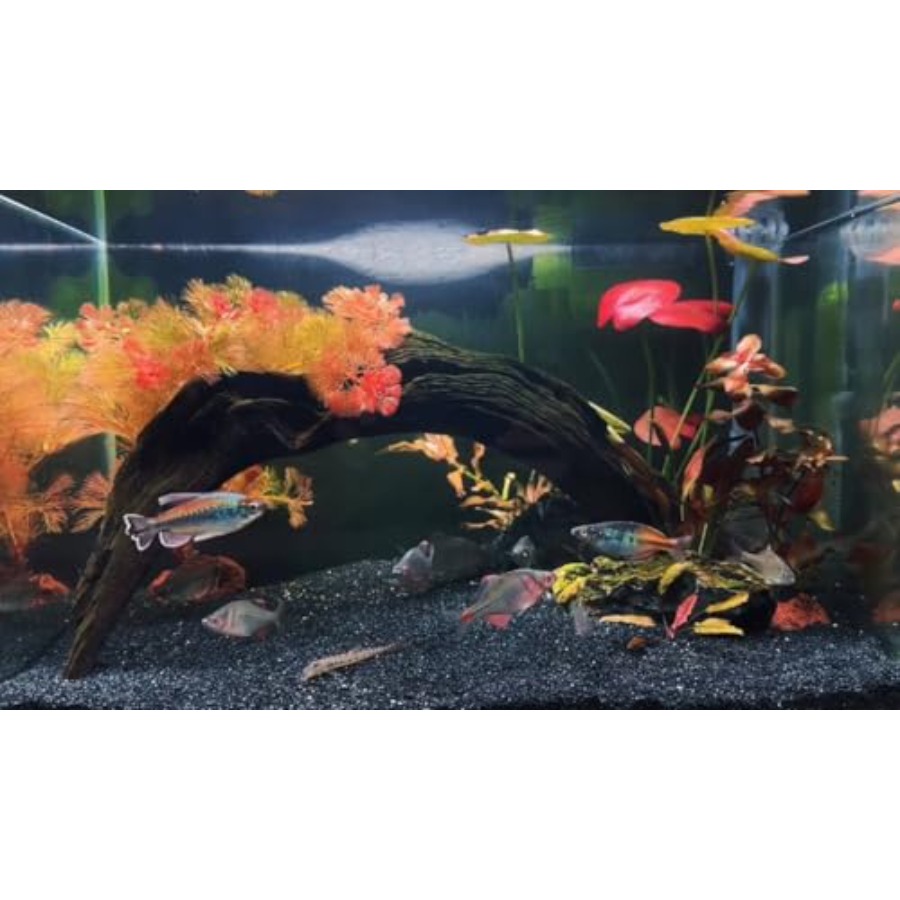 Aquarium Sand, 0 Fish Tank San - Planted Aquarium Aquascape 评论和价格