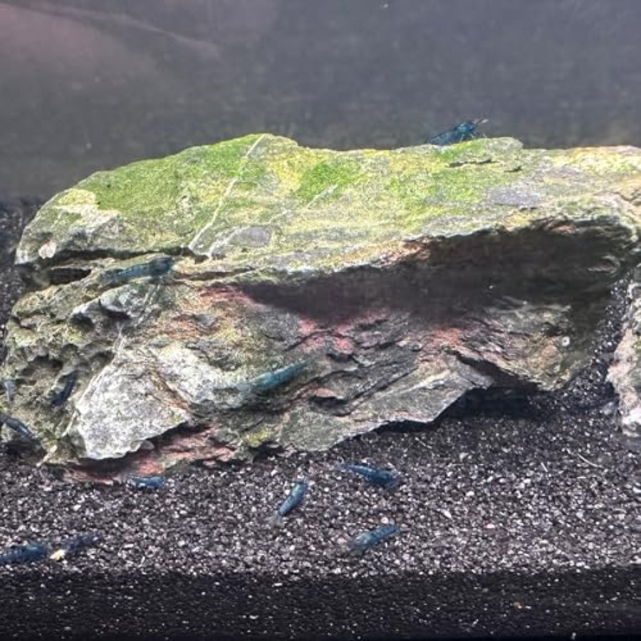 Aquarium Sand, 0 Fish Tank San - Planted Aquarium Aquascape 评论和价格
