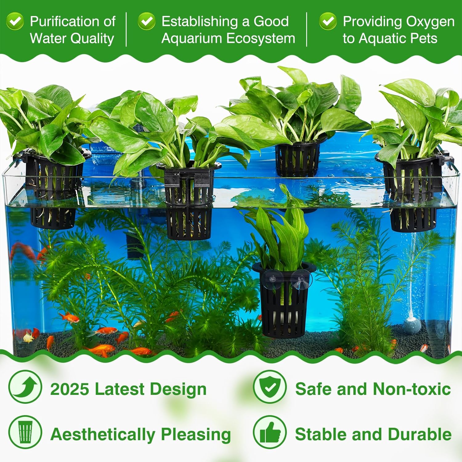 2025 Upgraded Large Aquarium P - Planted Aquarium Aquascape 评论和价格