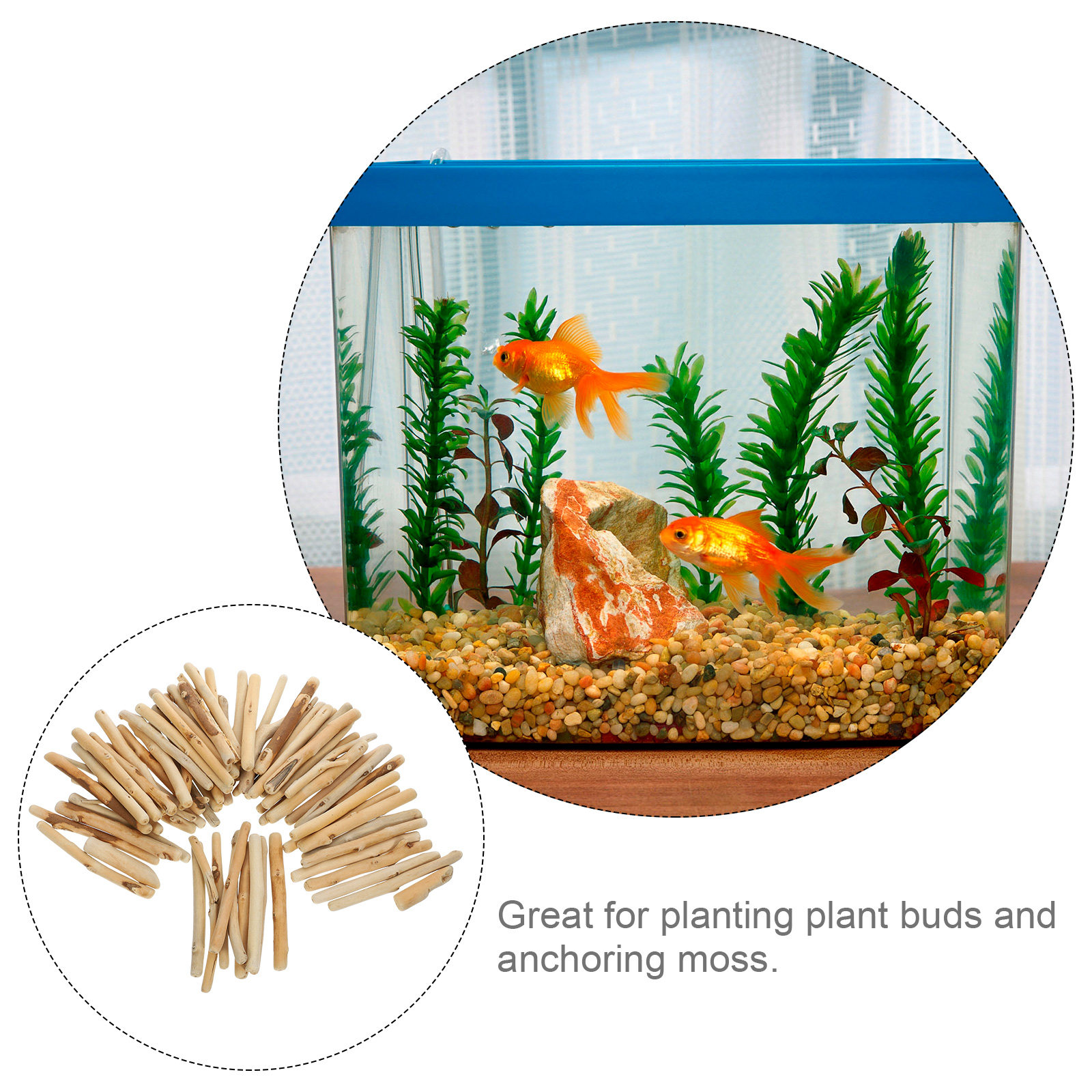 1Set Natural Driftwood Decorat - Planted Aquarium Ph 评论和价格