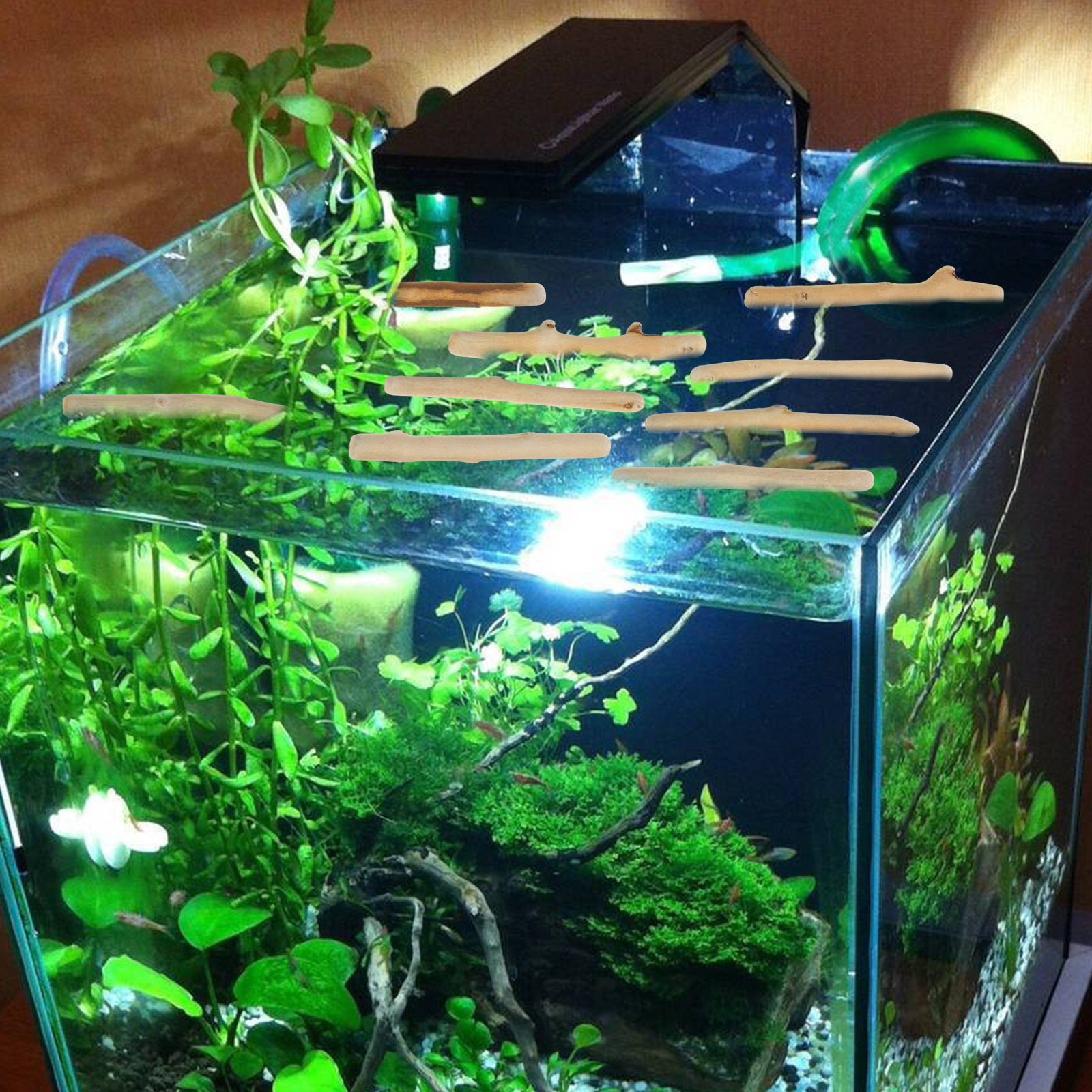 1Set Natural Driftwood Decorat - Planted Aquarium Ph 评论和价格