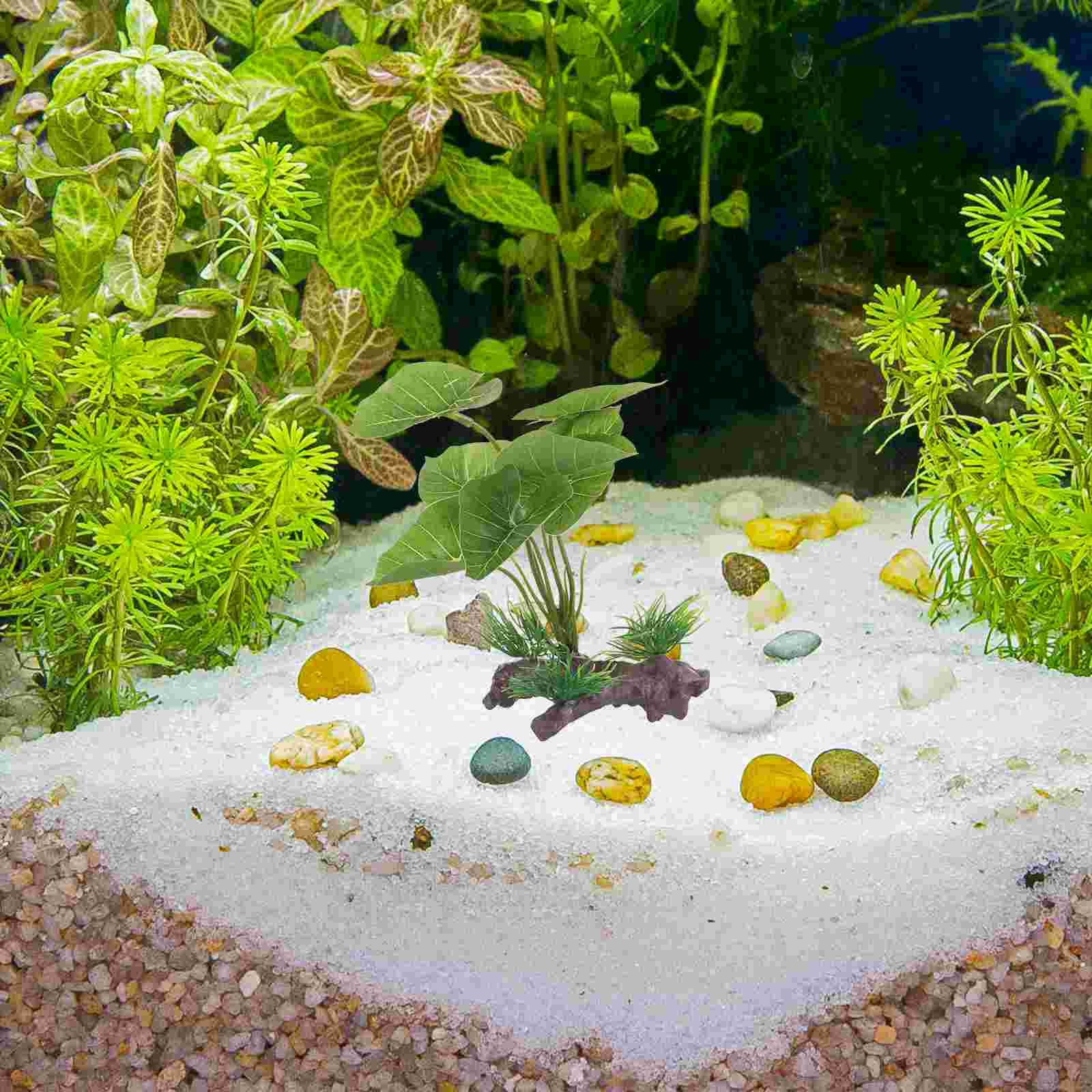 Fish Tank Artificial Water Pla - Planted Aquarium Aquascape 评论和价格