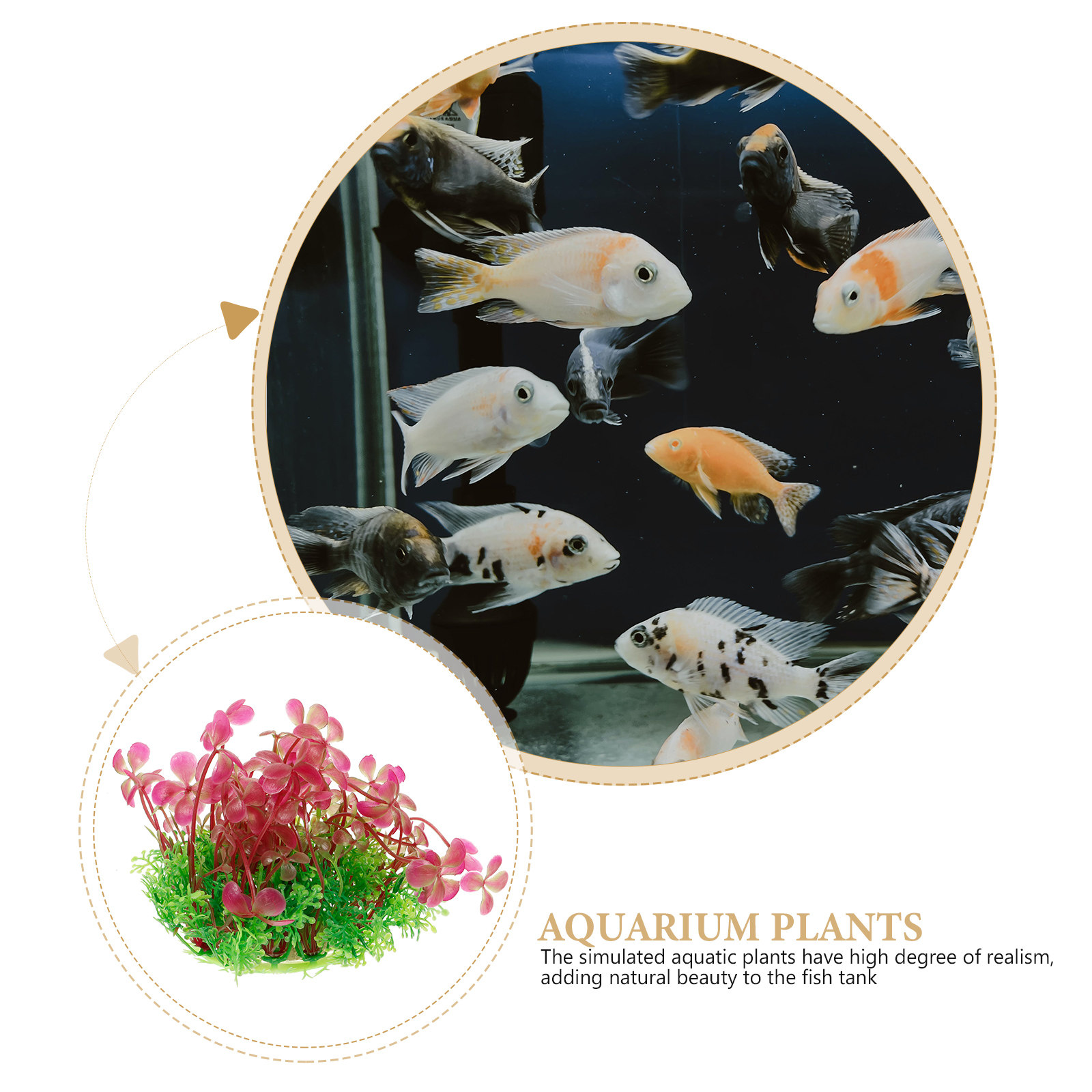 4 Leaf Clover Aquarium Decorat - Aquarium Planted Tank Setup 评论和价格