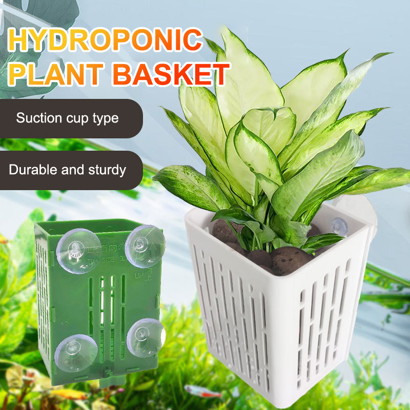 Hanging Suction Cup Hook Aquar - Aquarium Plant Ornament 评论和价格