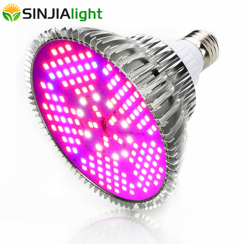 100W Full Spectrum LED Grow Li - Aquarium Plant Seeds 评论和价格