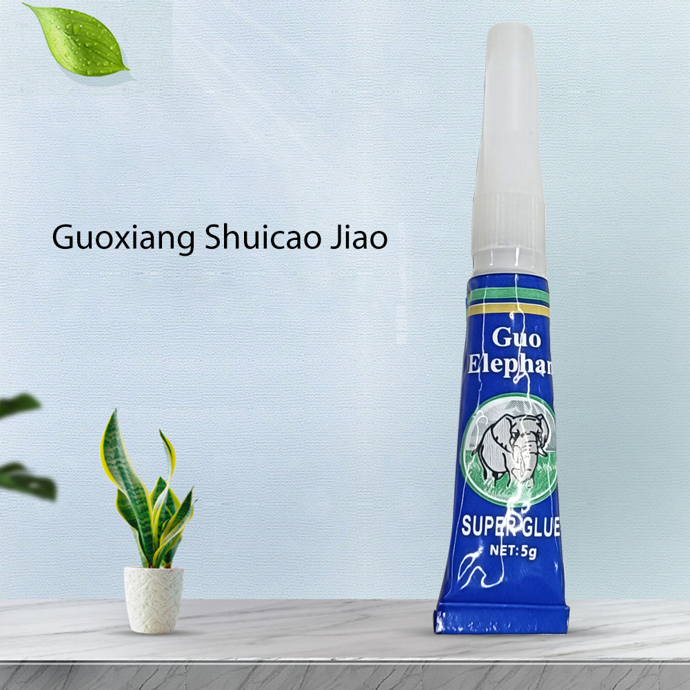 50-5PCS Fish Tank Landscaping  - Aquarium Plant Glue Gel 评论和价格