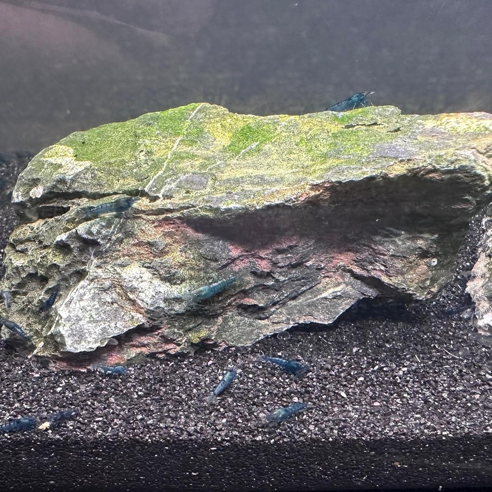 Black Aquarium Sand 2lbs, Fine - Planted Aquarium Aquascape 评论和价格