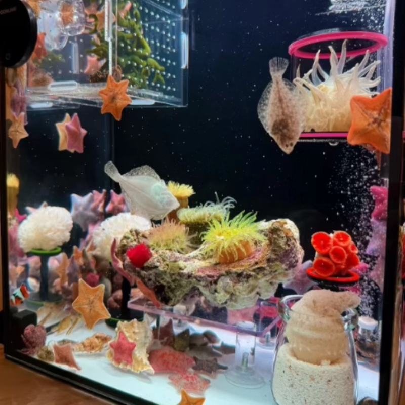 SPS LPS Coral Reef Frags Plug  - Aquarium Plant Glue Gel 评论和价格