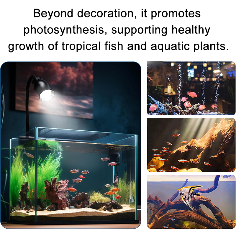Aquarium Led Light Fish Tank D - Aquarium Plant Growing 评论和价格