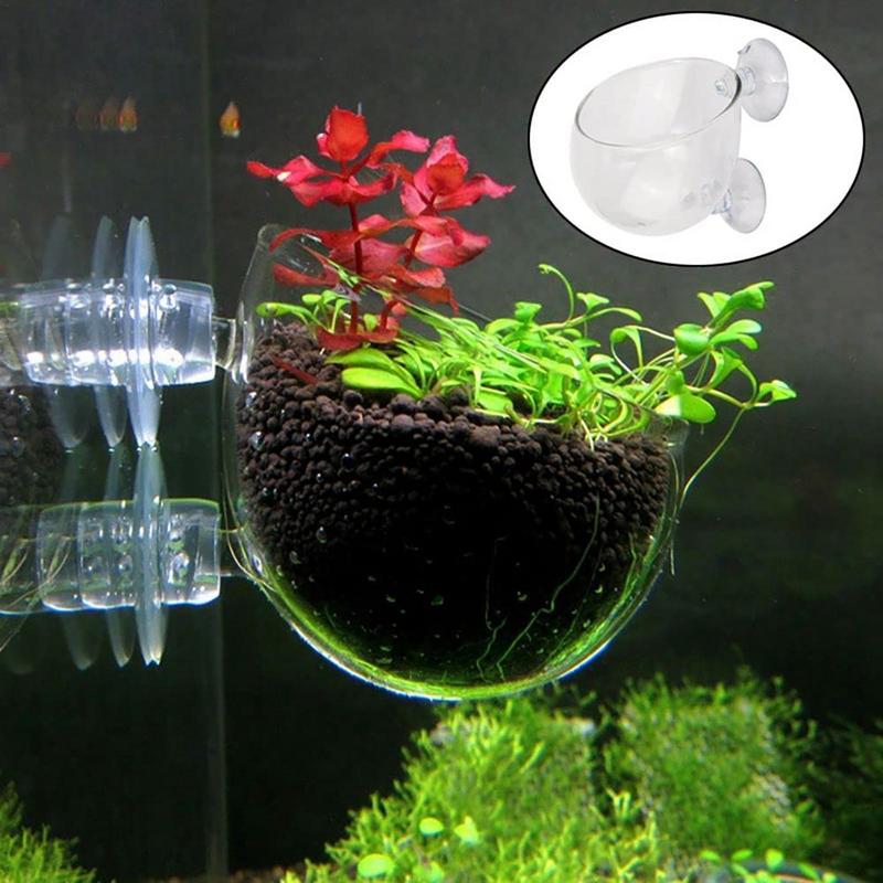 Acrylic Aquatic Plant Cup Aqua - Aquarium Plant Seeds 评论和价格