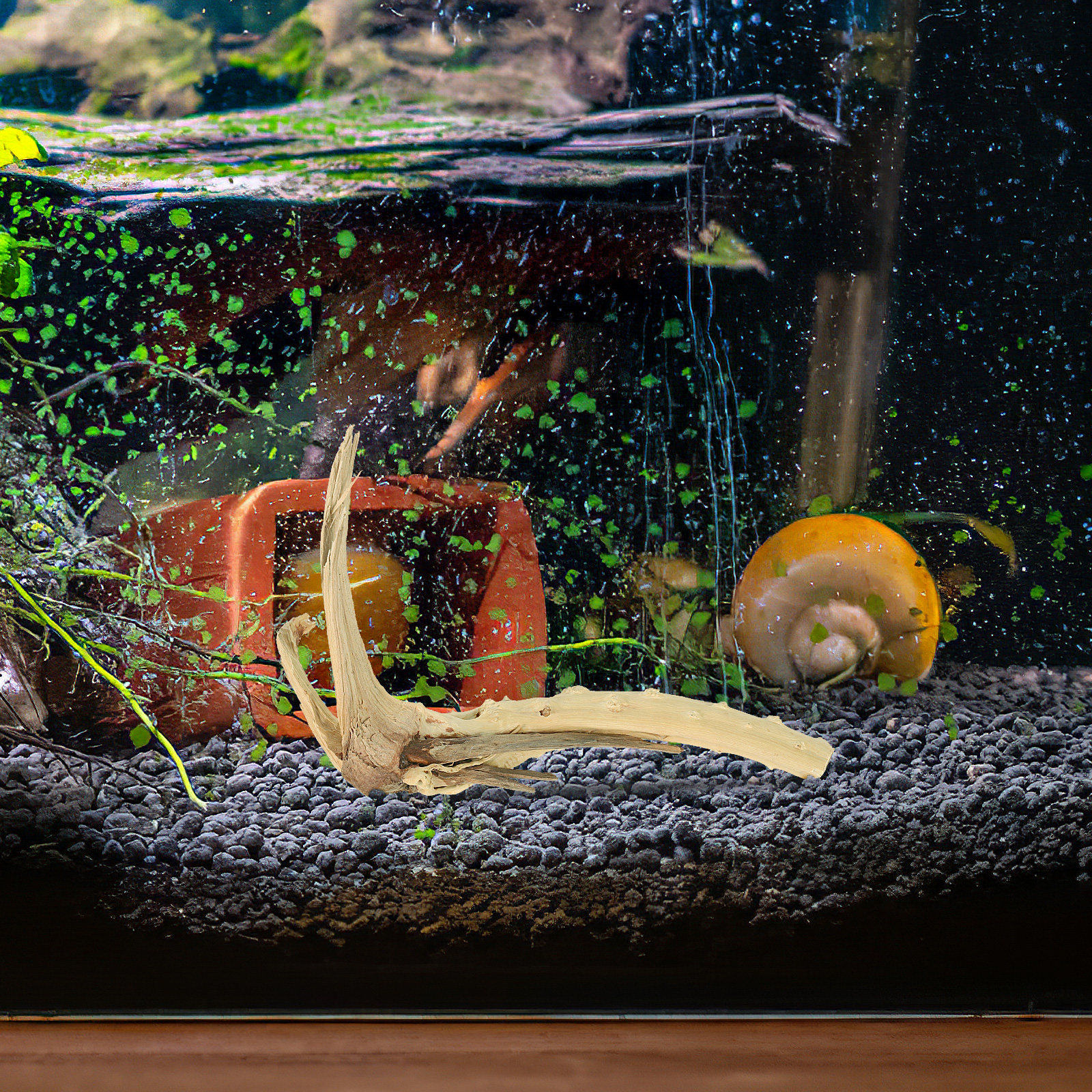Natural Driftwood Aquarium Dec - Planted Aquarium Ph 评论和价格