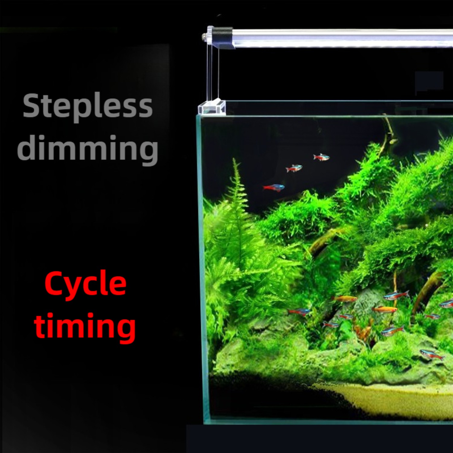 24/7 Cycle LED Aquarium Light  - Planted Aquarium Cycling 评论和价格
