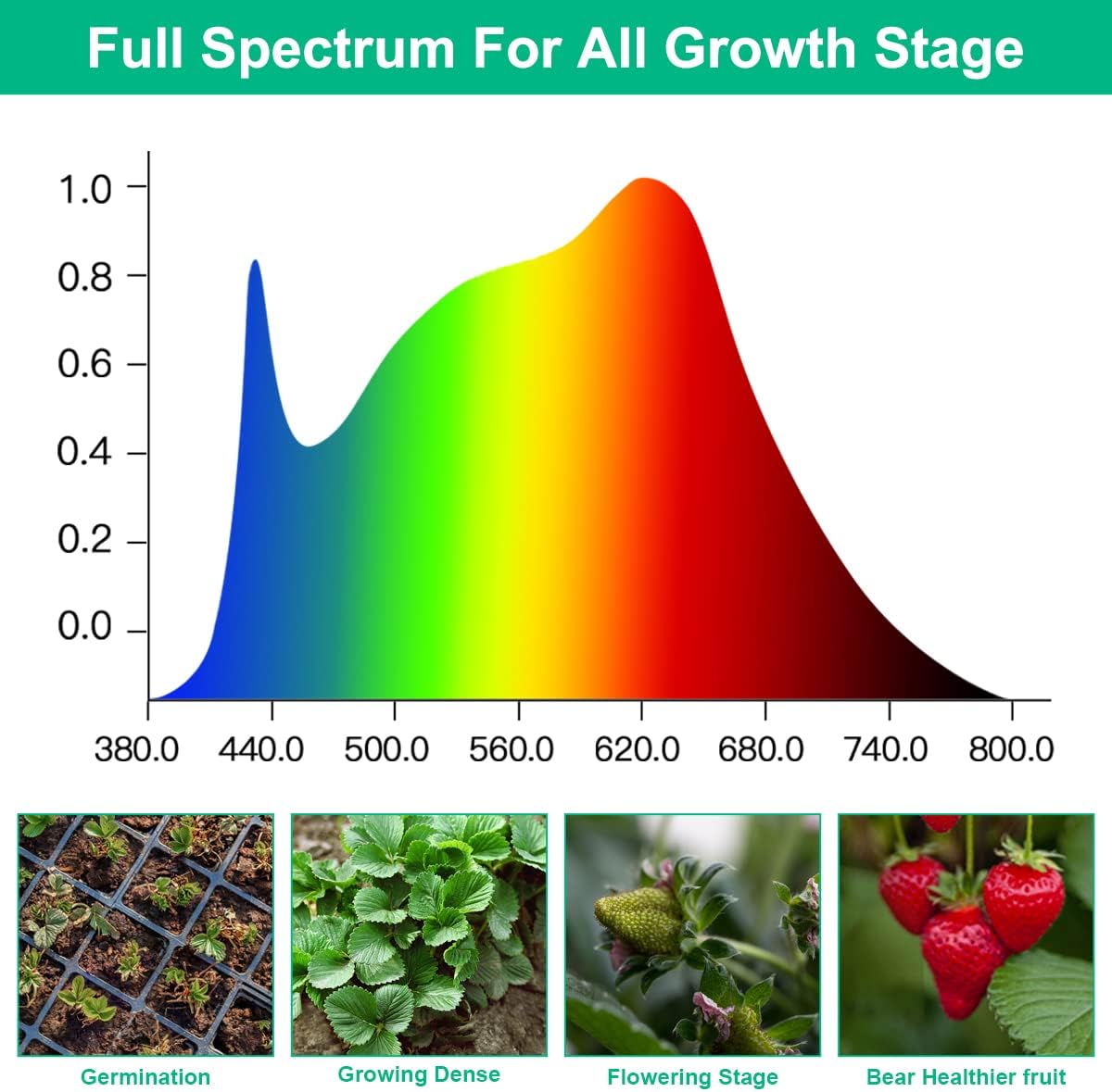 LED Grow Lamps Plant Full Spec - Aquarium Plant Seeds 评论和价格