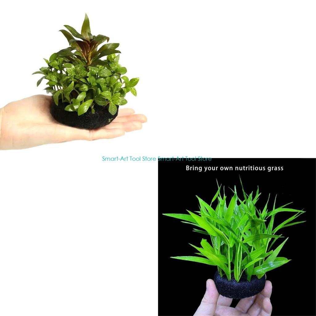 E1PB Nutrient Rich Resin Subst - Aquarium Plant Growth 评论和价格