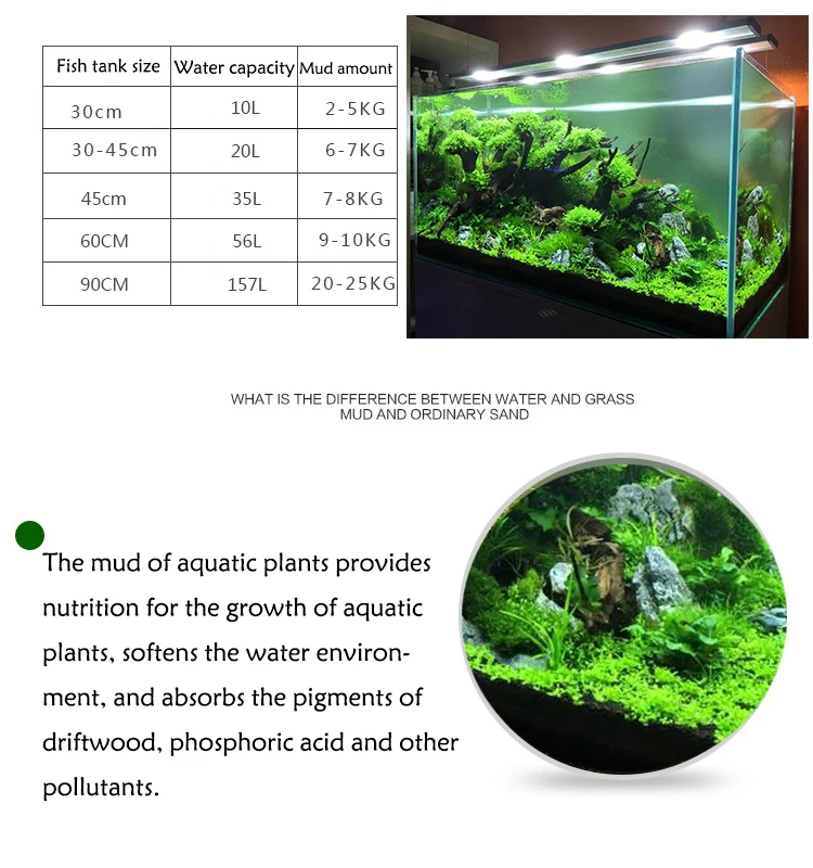 Fish Tank Water Grass Mud Plan - Aquarium Plant Seeds 评论和价格