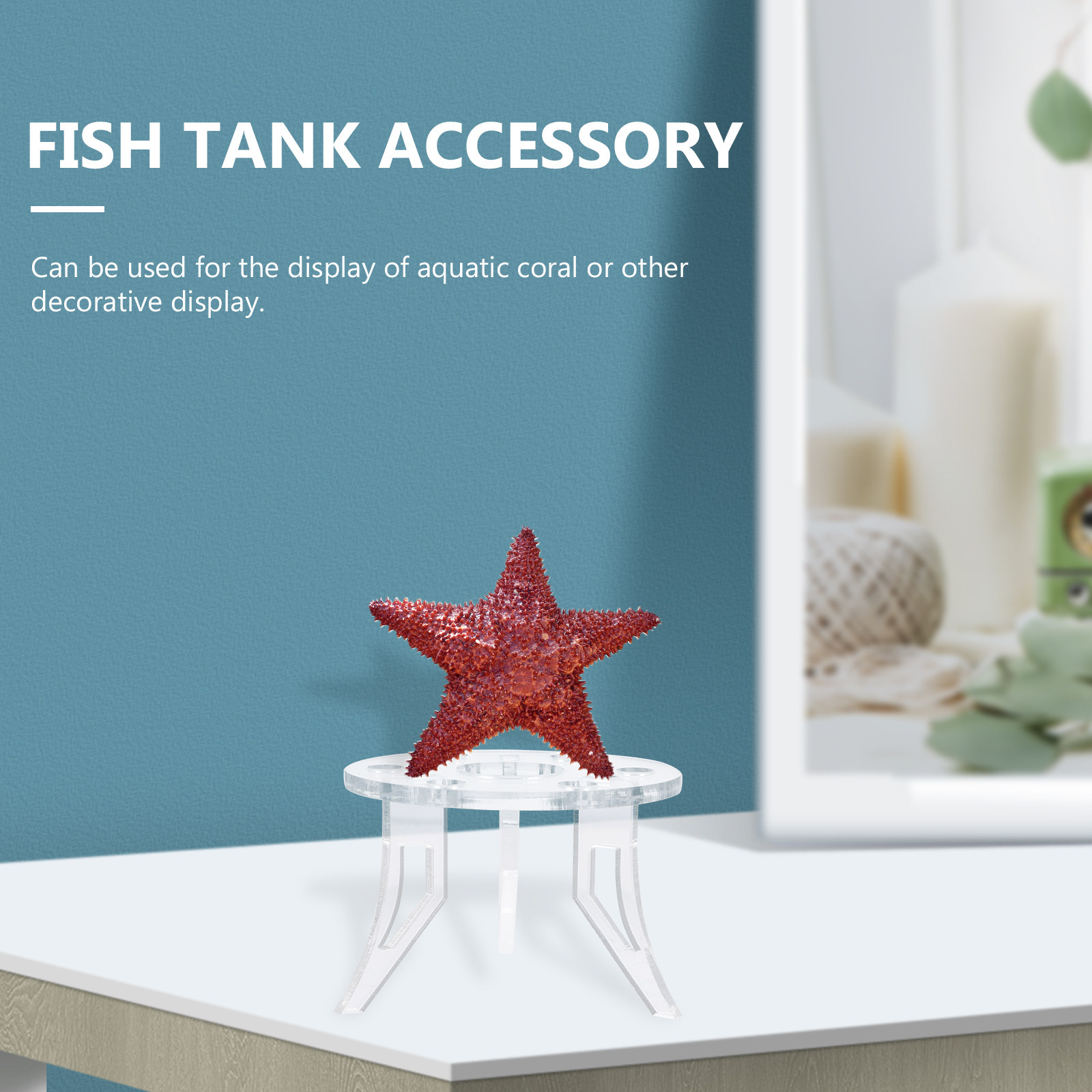 1Pcs Coral Base Strong Stable  - Aquarium Planted Tank Setup 评论和价格