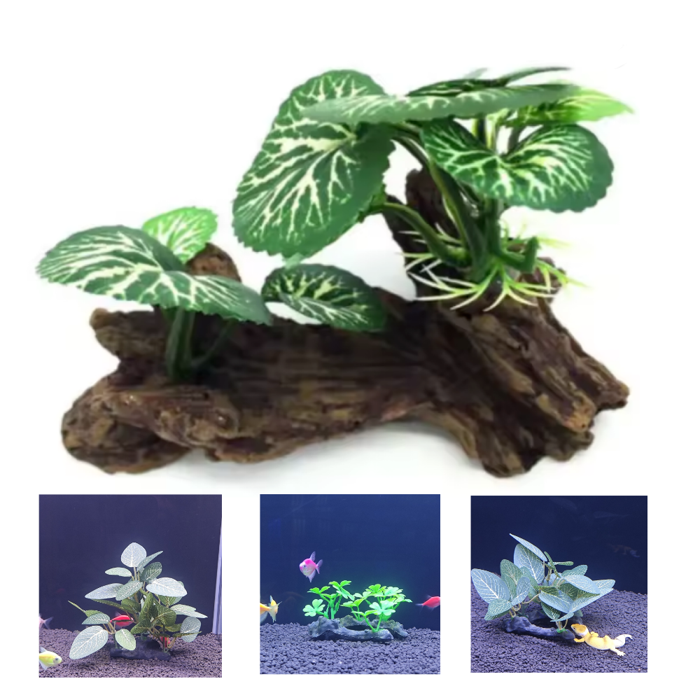 Aquarium simulation plant Plas - Aquarium Plant Seeds 评论和价格