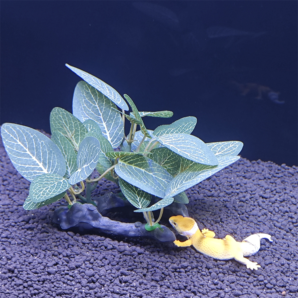 Aquarium simulation plant Plas - Aquarium Plant Seeds 评论和价格