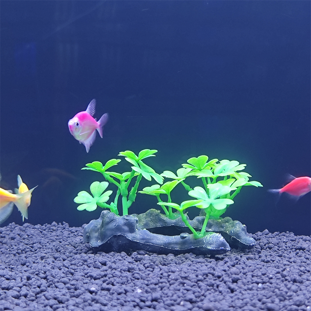Aquarium simulation plant Plas - Aquarium Plant Seeds 评论和价格