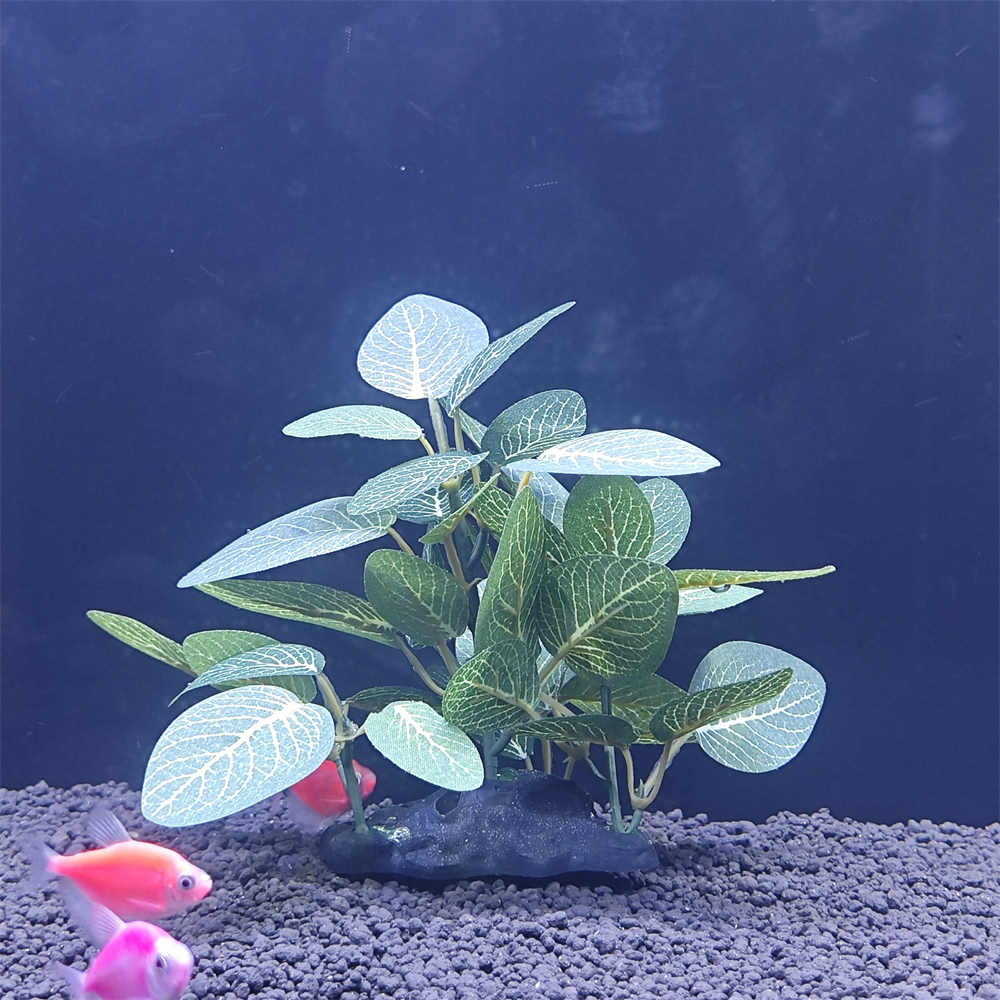 Aquarium simulation plant Plas - Aquarium Plant Seeds 评论和价格