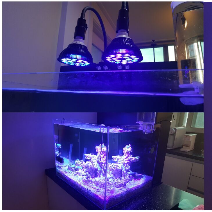Free customize LED Aquarium li - Aquarium Plant Growing 评论和价格