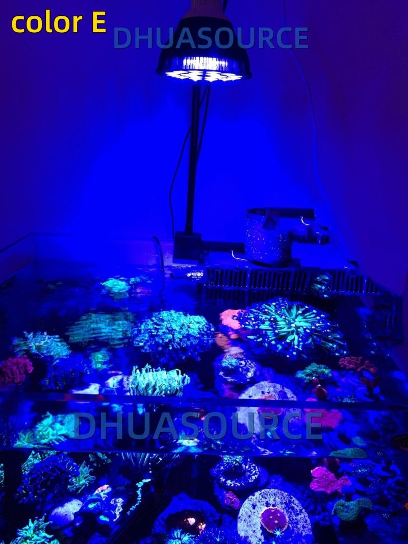 Free customize LED Aquarium li - Aquarium Plant Growing 评论和价格