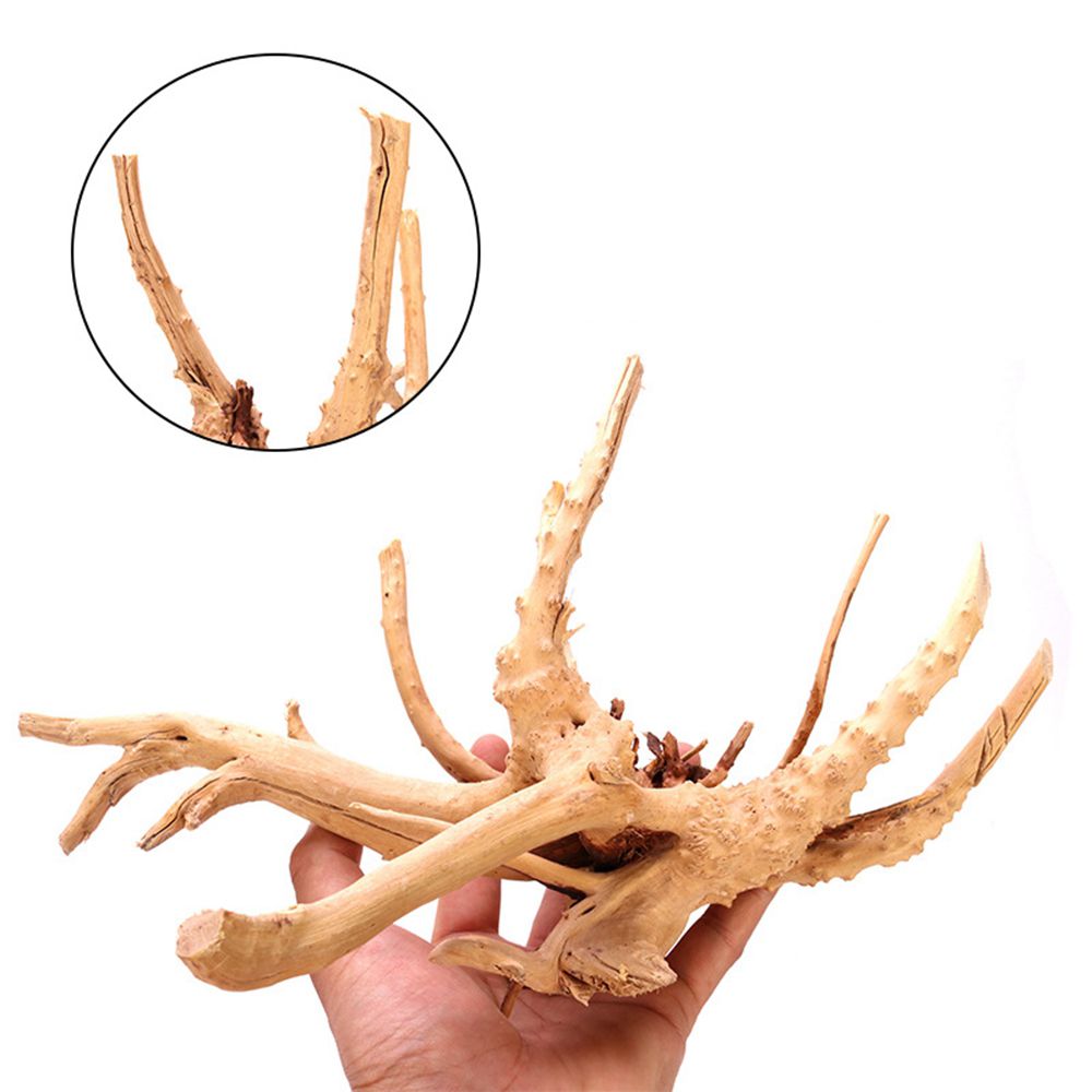 1 Pcs Wood Reptile Fish Tank O - Aquarium Plant Design 评论和价格